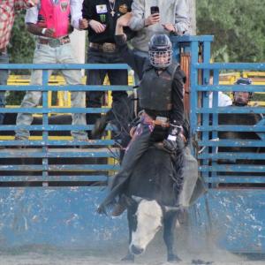 Holy cow, this rider is holding on.