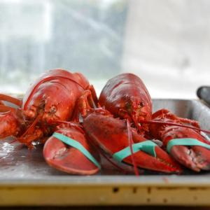 Harbor Days visitors could purchase freshly-steamed lobsters at the event. 