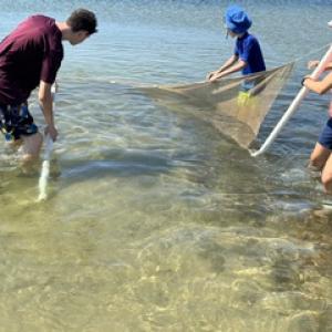 Kids use a net to catch fish. 