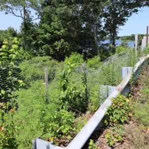 Wire fencing sat along the side of the bridge. Photo by Nick Mossman