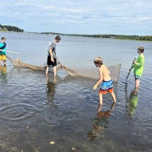 Kids use a net to collect fish and other water dwellers.