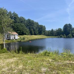 The farm sources the water it uses to flood bogs from its pond. 