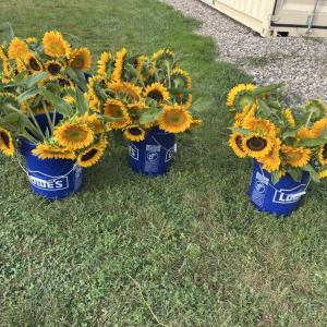 Elliot Farm, in Lakeville, donated buckets of flowers. 