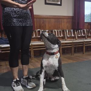 Sherry Cowan instructs her dog Theo.