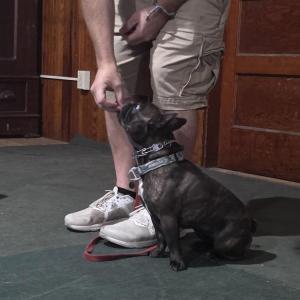 Brad Cole, of Mattapoisett, gives his dog Pancake a treat. The dogs receive positive reinforcement during their obedience training through praise and treats.