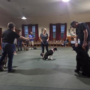 Dog trainer Sherri Swindle instructs Sherry Cowan, of Middleboro, in leading her dog, Theo, in a “figure eight” path. She acts as a “post” with Bill McDermott, from Middleboro, and dog Bear to create a reference for the path.