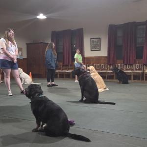 Suzanne Gentilhomme trains her dog Archie. “I love all the instruction that we get here, but also all the friends that we’ve made here,” Gentilhomme said.