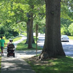 The bicycle and pedestrian advisory committee will help make transportation more accessible.