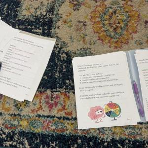 Handouts discuss emotional intelligence. 