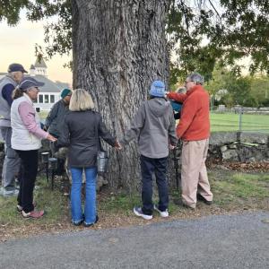 People gather around a 200-year-old red oak tree on Thursday, Oct. 22. Photo source: Sue Maxwell Lewis