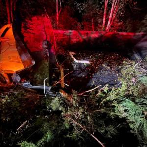 A dump truck crashed into the woods early Thursday morning. Photos source: Mattapoisett Fire Department