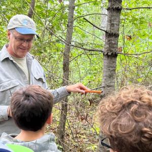 They estimated trees' ages by taking a core sample.
