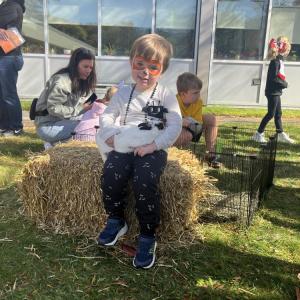 Jake Dias, 3, pets a bunny that's snuggled up in his arms at the family fun day at Old Rochester Regional High School on Saturday, Oct. 24. Photos by Grace Roche