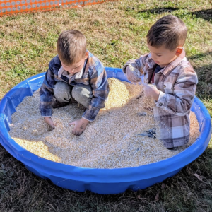 Corn you believe how much fun they are having. 