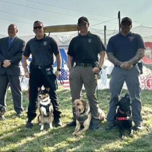 Comfort dogs from the office of District Attorney Tim Cruz will attend the meet and greet. Photo source: Rochester COA