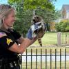 Sgt. Catherine Connolly holds the baby raccoon she brought down from a tree. Photo source: Rochester Police 