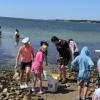 Coastal explorations program participants explore the water. 