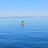 An offshore wave buoy floats off the coast of Mattapoisett in Buzzards Bay. Photo source: Stone Living Lab.
