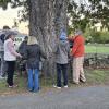 People gather around a 200-year-old red oak tree on Thursday, Oct. 22. Photo source: Sue Maxwell Lewis